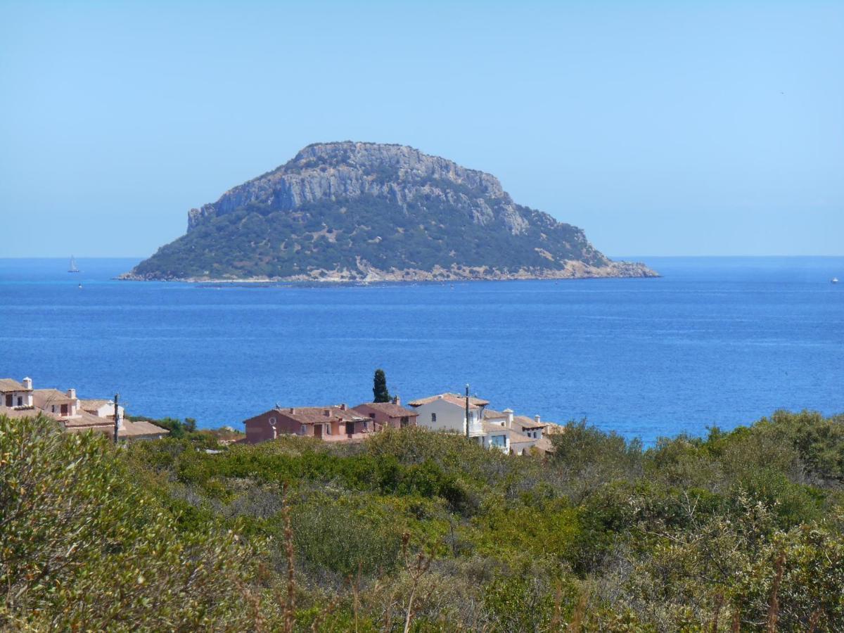 Casa Perla Villa Golfo Aranci Buitenkant foto